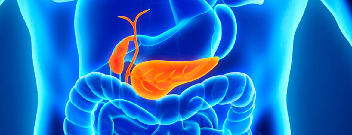 pancreas-conheca-as-doencas